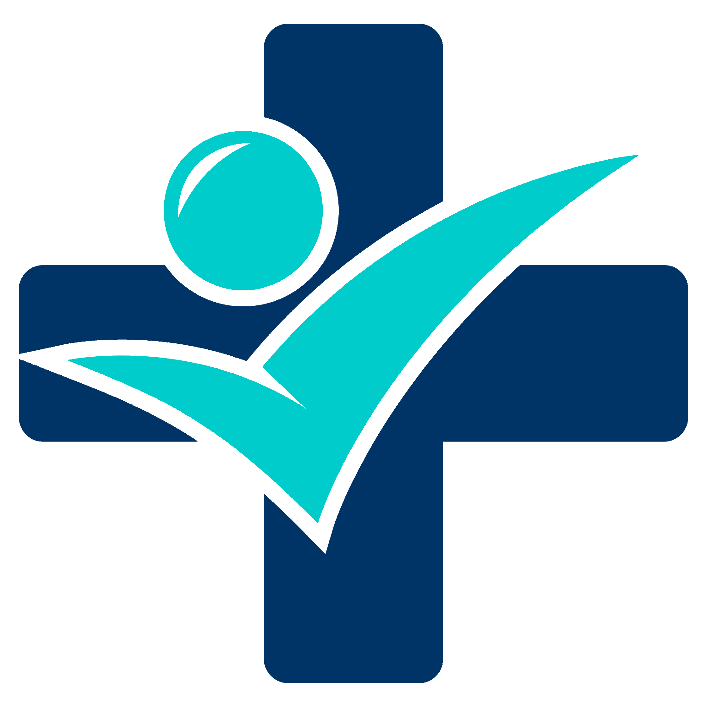 That Health Insurance Guy Logo